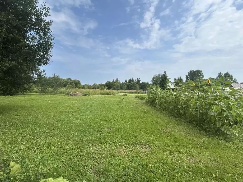 Участок в Московская область, Ступино городской округ, д. ... - Фото 1