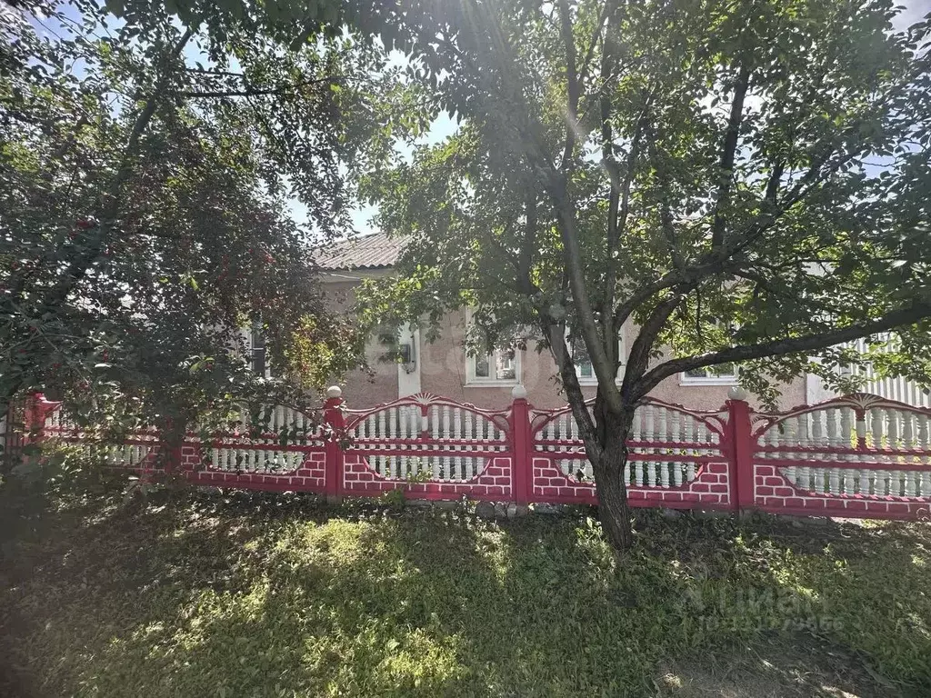 Дом в Белгородская область, Алексеевка 1-й Народный пер., 38 (76 м) - Фото 2
