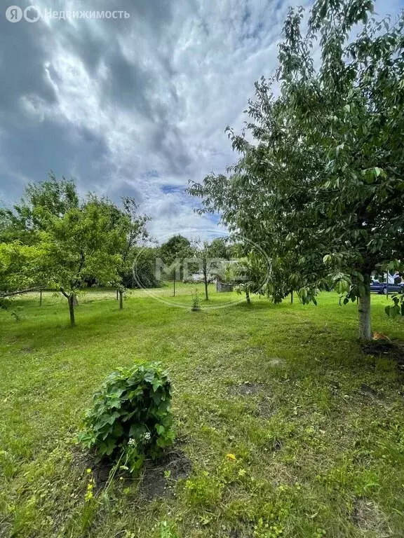 Участок в Сосновка, Октябрьская улица, 22 (45 м) - Фото 1