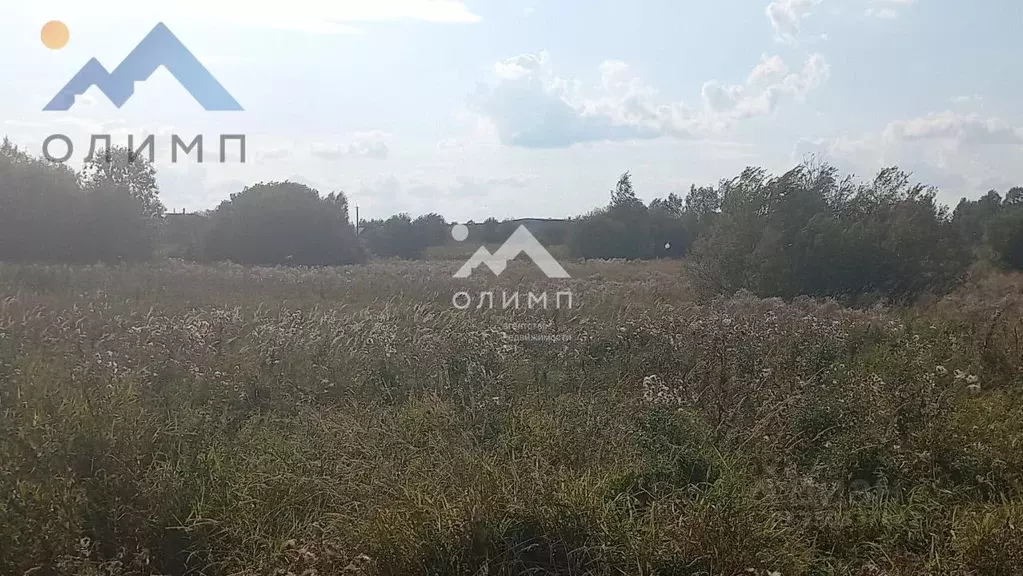 Участок в Вологодская область, пос. Дубровское ул. Школьная (15.0 ... - Фото 2