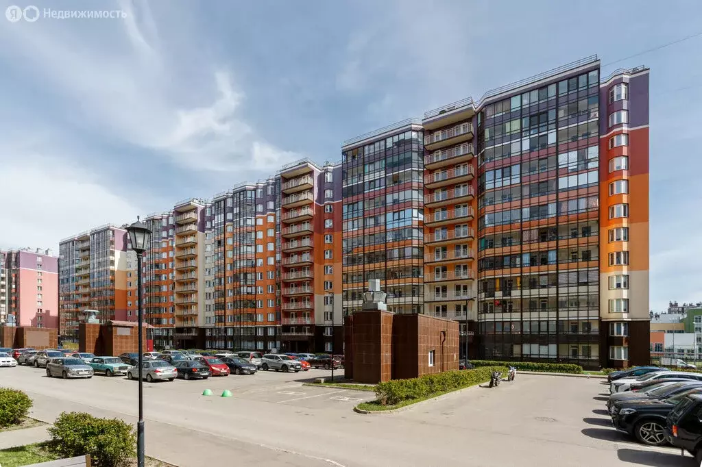 Квартира-студия: Санкт-Петербург, улица Лётчика Лихолетова, 14к3 (24.6 ... - Фото 1