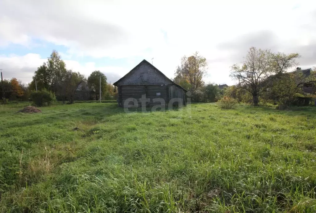 Участок в Вологодская область, Шекснинский муниципальный округ, пос. ... - Фото 1