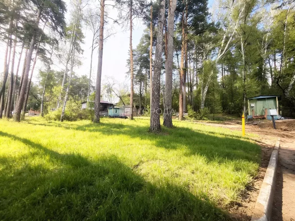 Участок в Новосибирская область, Новосибирск Локис кп,  (9.8 сот.) - Фото 1
