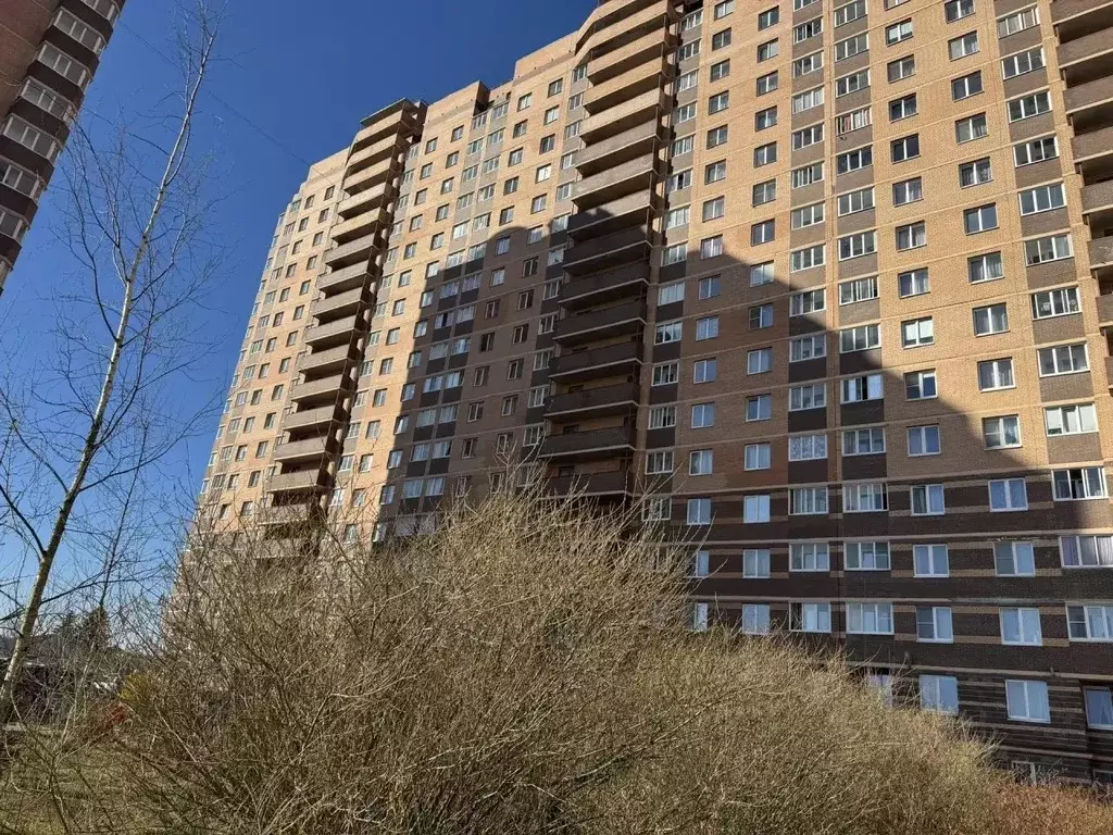 1-к кв. Ленинградская область, Никольское Тосненский район, ... - Фото 1