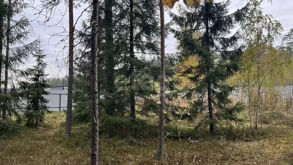 Участок в Ленинградская область, Выборгский район, Полянское с/пос, ... - Фото 1