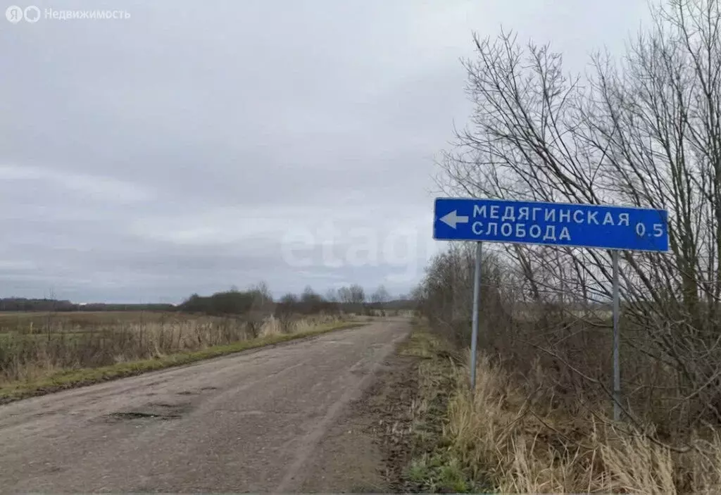 Участок в Ярославский муниципальный округ, ДНП Медягинская Слобода (25 ... - Фото 1