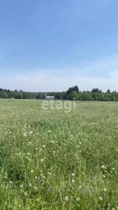 Участок в Пермский край, Краснокамский городской округ, пос. Ласьва  ... - Фото 1