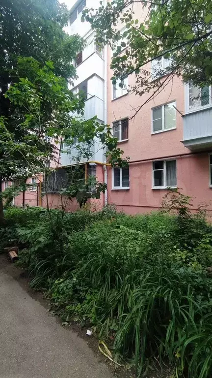 3-к. квартира, 58 м, 4/5 эт. - Фото 0