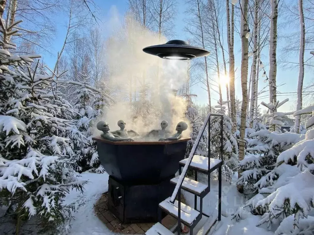 Дом в Московская область, Клин городской округ, ДНП Радости Парк 1 ... - Фото 1