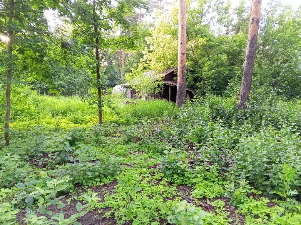 Продается участок в пгт Быково - Фото 2