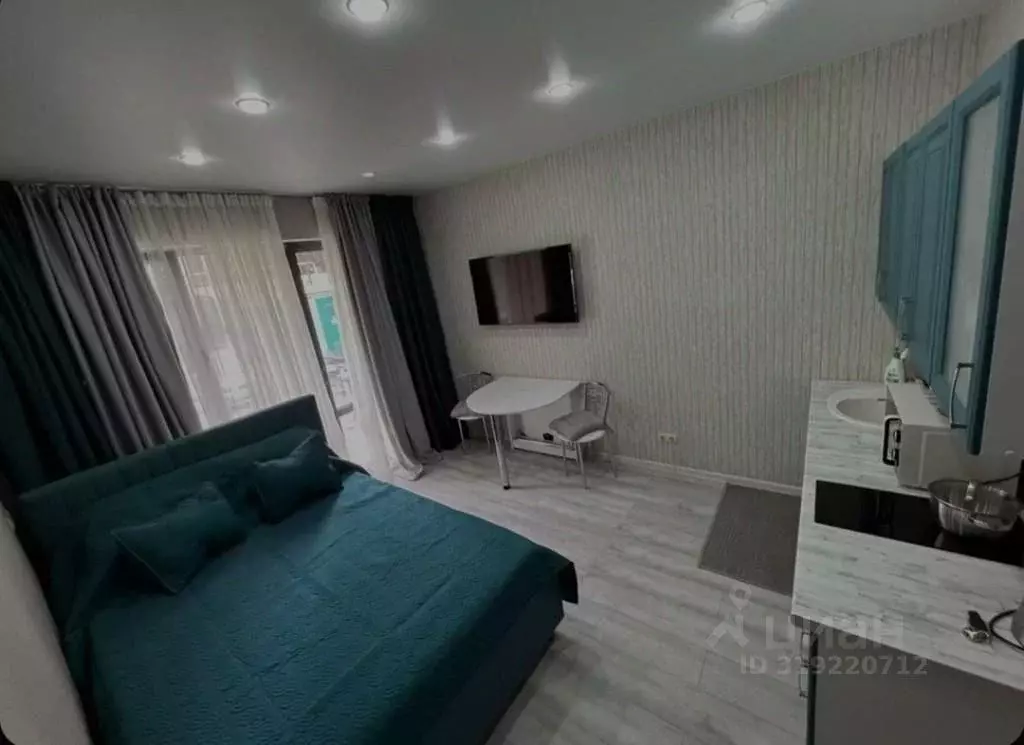 1-к кв. Краснодарский край, Сочи ул. Ленина, 219а (25.0 м) - Фото 1