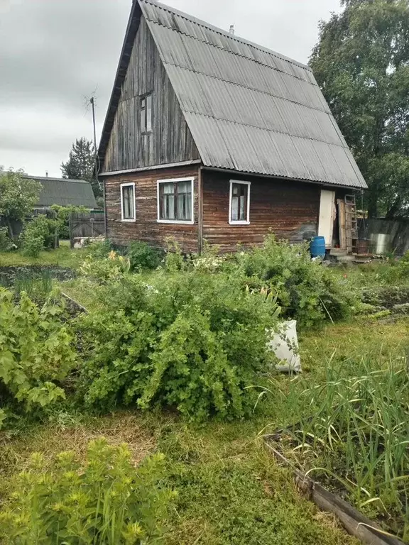Дача 32 м на участке 6 сот. - Фото 0