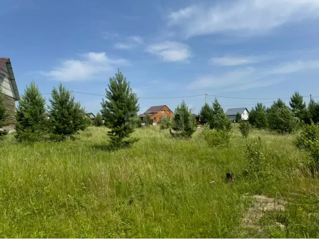 Участок в Курганская область, Шадринск Проектная ул., 21А (8.0 сот.) - Фото 0