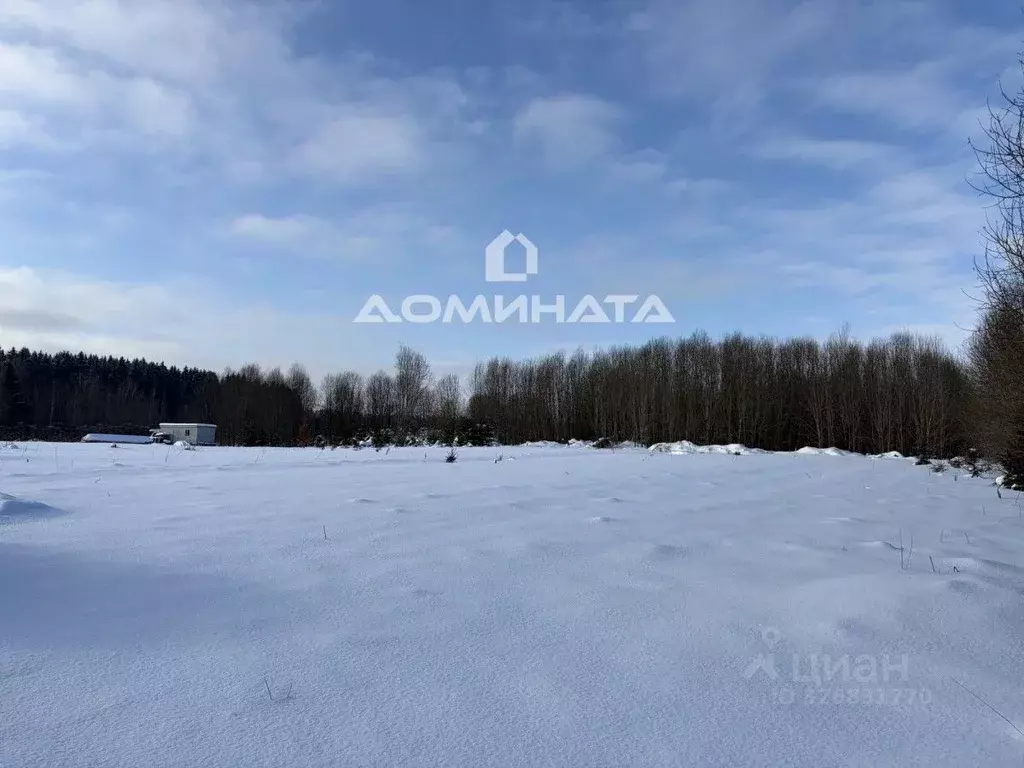 Участок в Ленинградская область, Волосовский район, Калитинское с/пос, ... - Фото 2