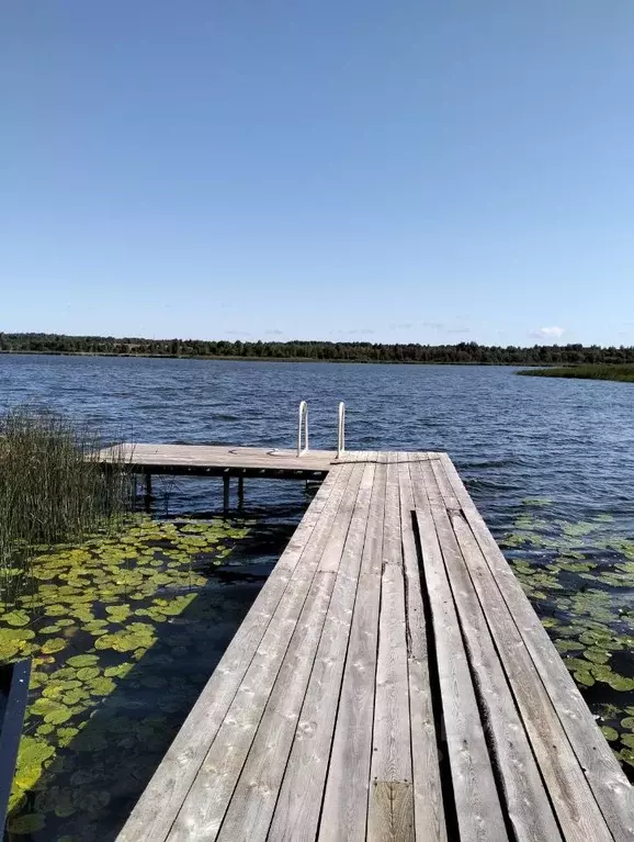 Дом в Вологодская область, Кирилловский муниципальный округ, д. ... - Фото 1