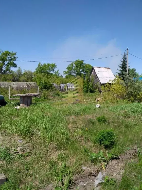 Участок в Новосибирская область, Новосибирский район, Ярковский ... - Фото 0