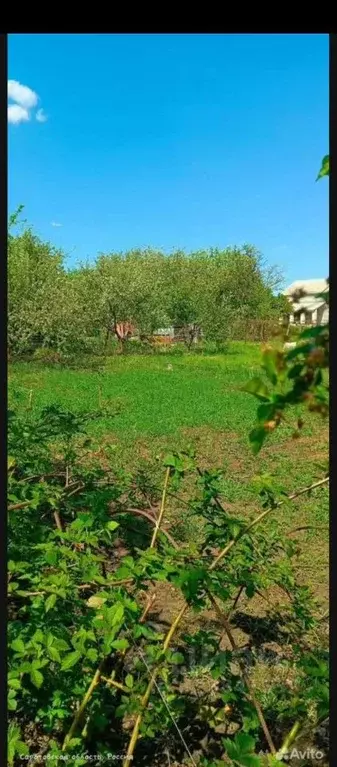 Участок в Саратовская область, Воскресенский район, Елшанское ... - Фото 2