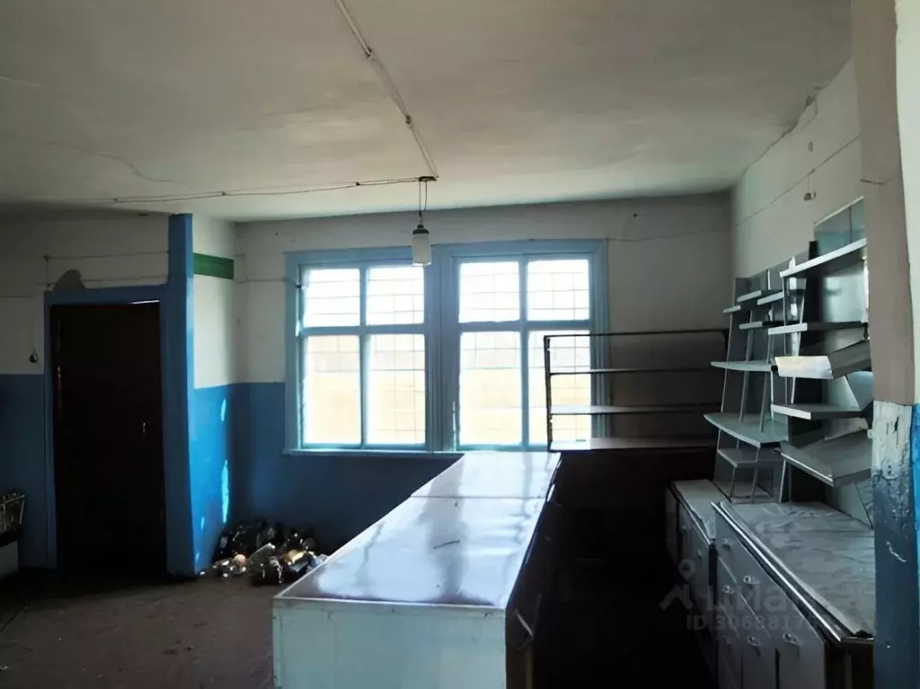 Помещение свободного назначения в Алтайский край, Бурлинский район, с. ... - Фото 1