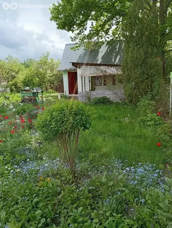 Дом в Кстово, садоводческое некоммерческое товарищество Лесное, 217 ... - Фото 1
