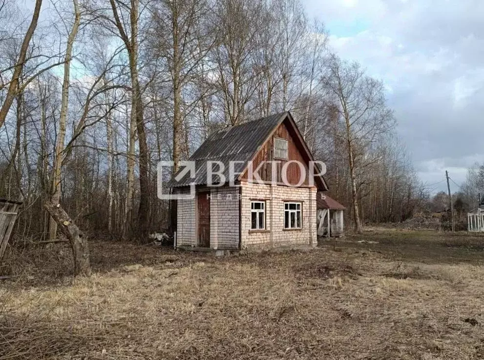 Участок в Ивановская область, Шуйский район, Семейкинское с/пос, ... - Фото 1