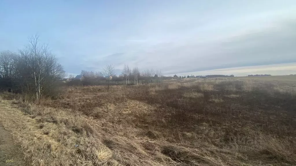 Участок в Владимирская область, Суздальский район, Селецкое ... - Фото 0