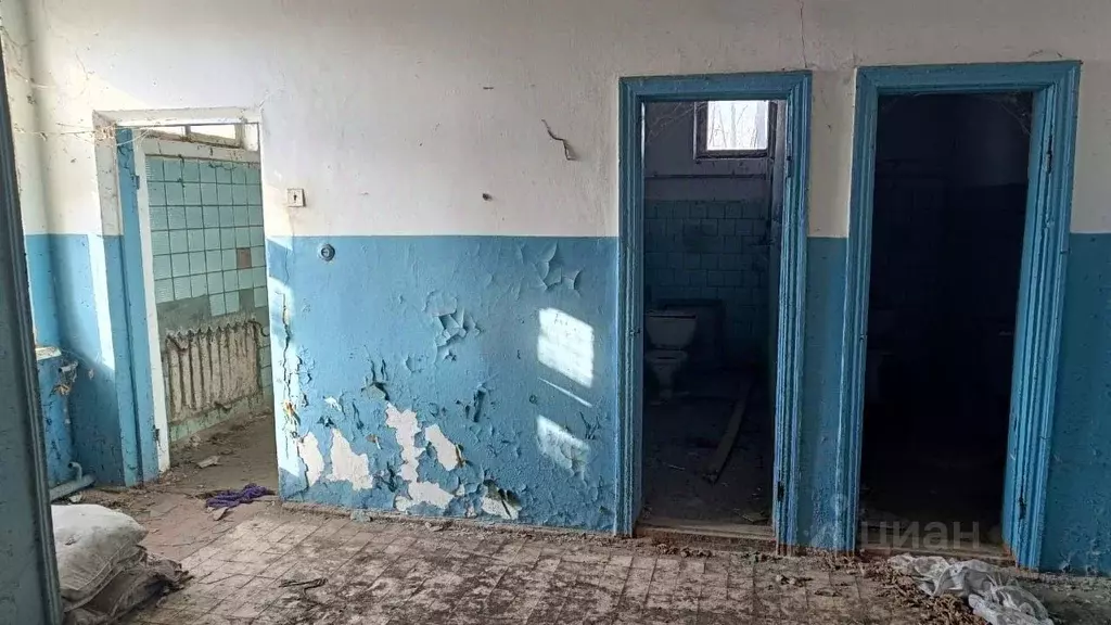Помещение свободного назначения в Краснодарский край, Курганинский ... - Фото 0
