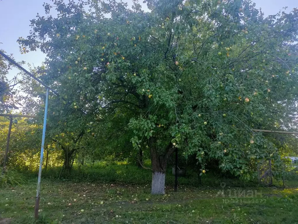 Дом в Орловская область, Орловский район, с. Становой Колодезь ... - Фото 2