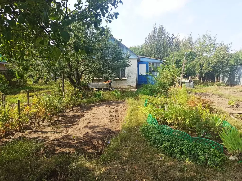 Дом в Саратовская область, Саратов проезд 3-й Беловежский (29 м) - Фото 0