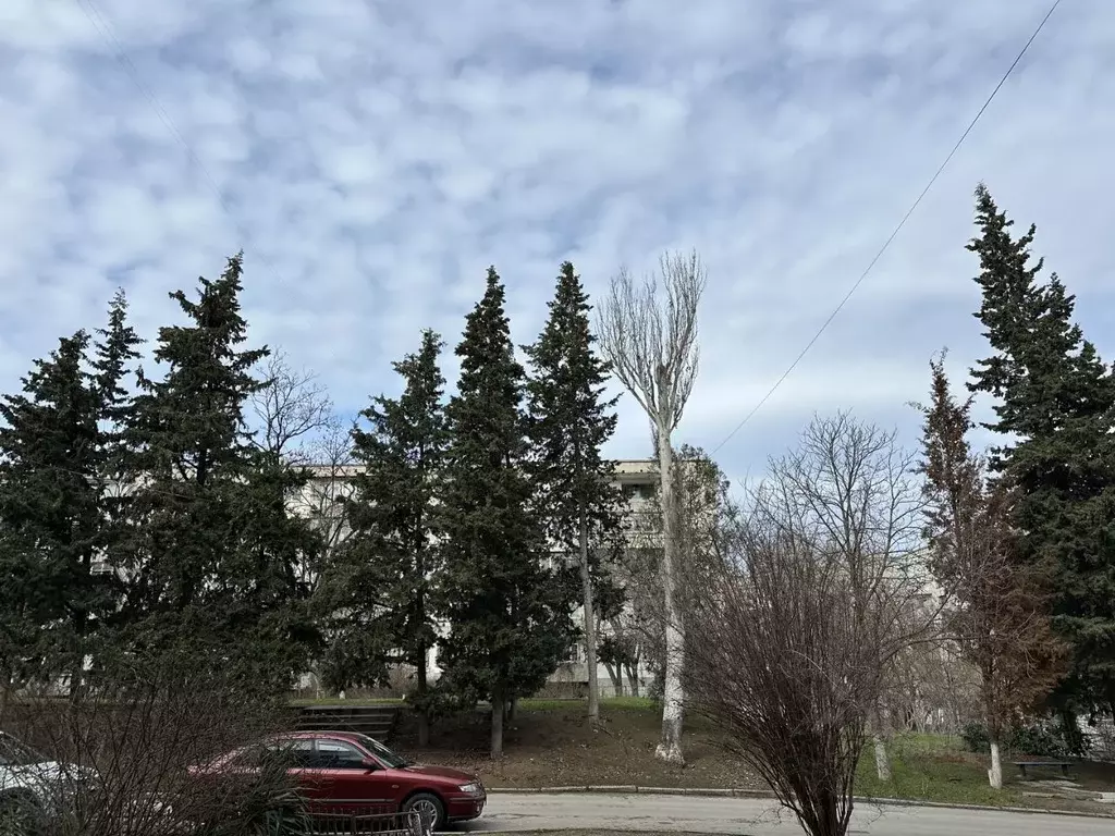 1-к кв. Севастополь ул. Лоцманская, 1 (34.6 м) - Фото 1