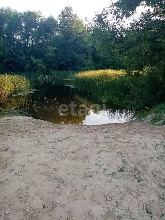 Участок в Воронеж, Советская улица (12 м) - Фото 0