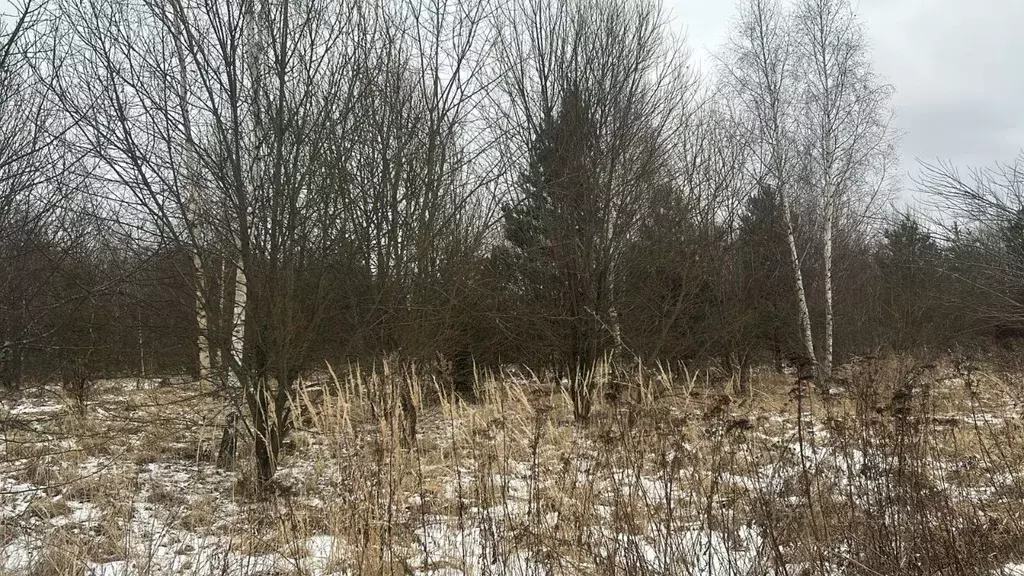 Участок в Московская область, Ступино городской округ, с. Мещерино  ... - Фото 0