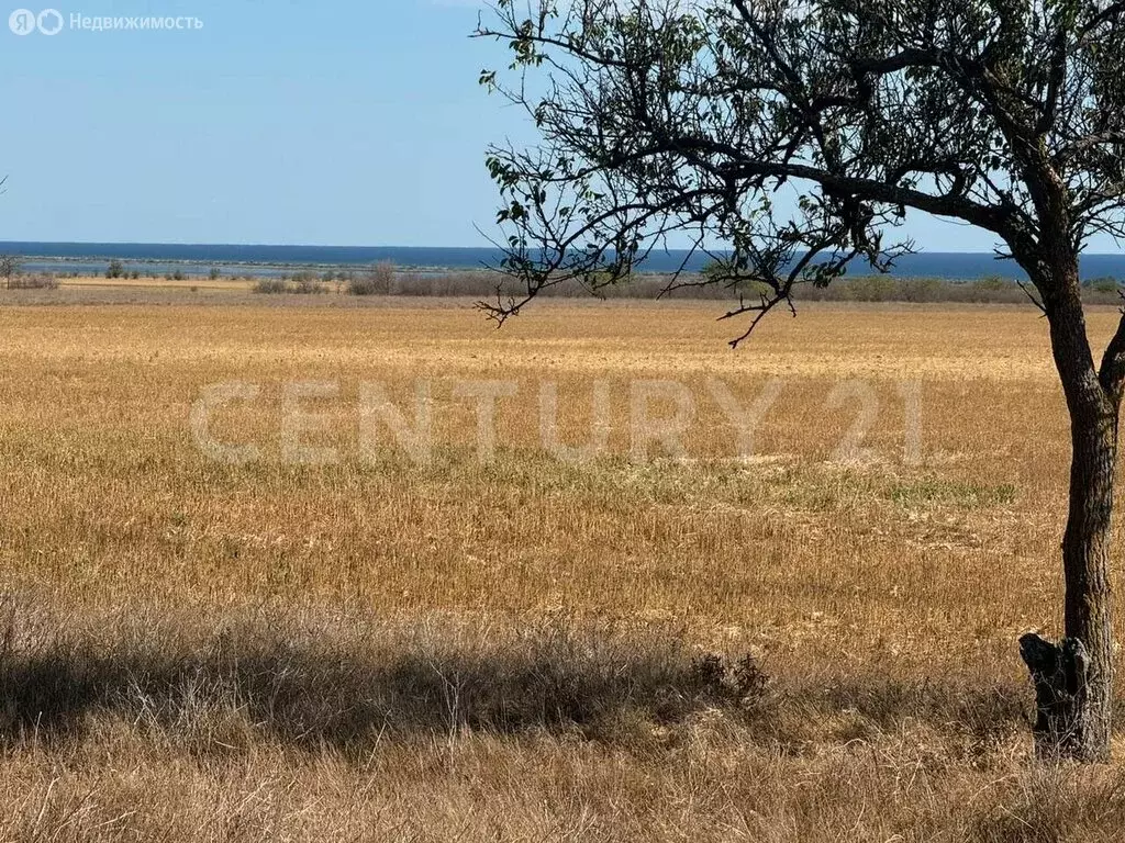 Участок в Окунёвское сельское поселение, коттеджный посёлок Золотой ... - Фото 1