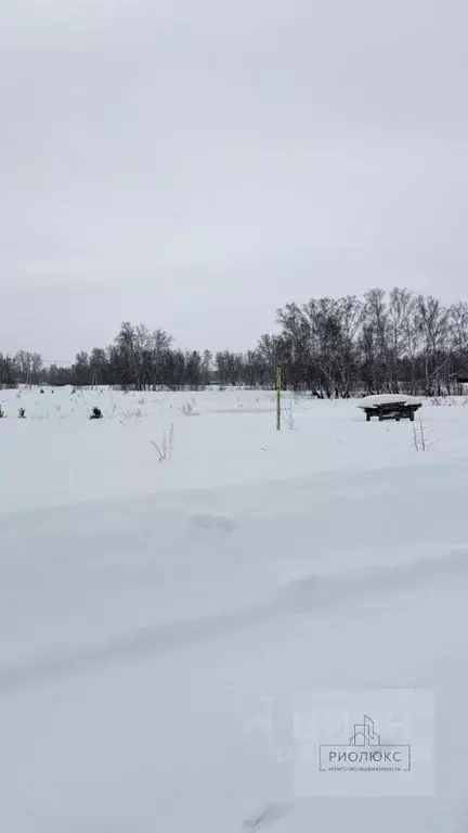 Участок в Челябинская область, Красноармейский муниципальный округ, ... - Фото 1