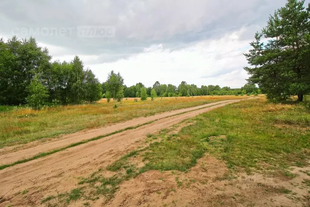 Участок в Калининградская область, Ладушкин Молодежная ул. (8.88 сот.) - Фото 0