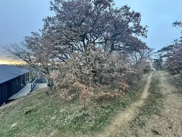 Участок 8,2 сот. (СНТ, ДНП) - Фото 0