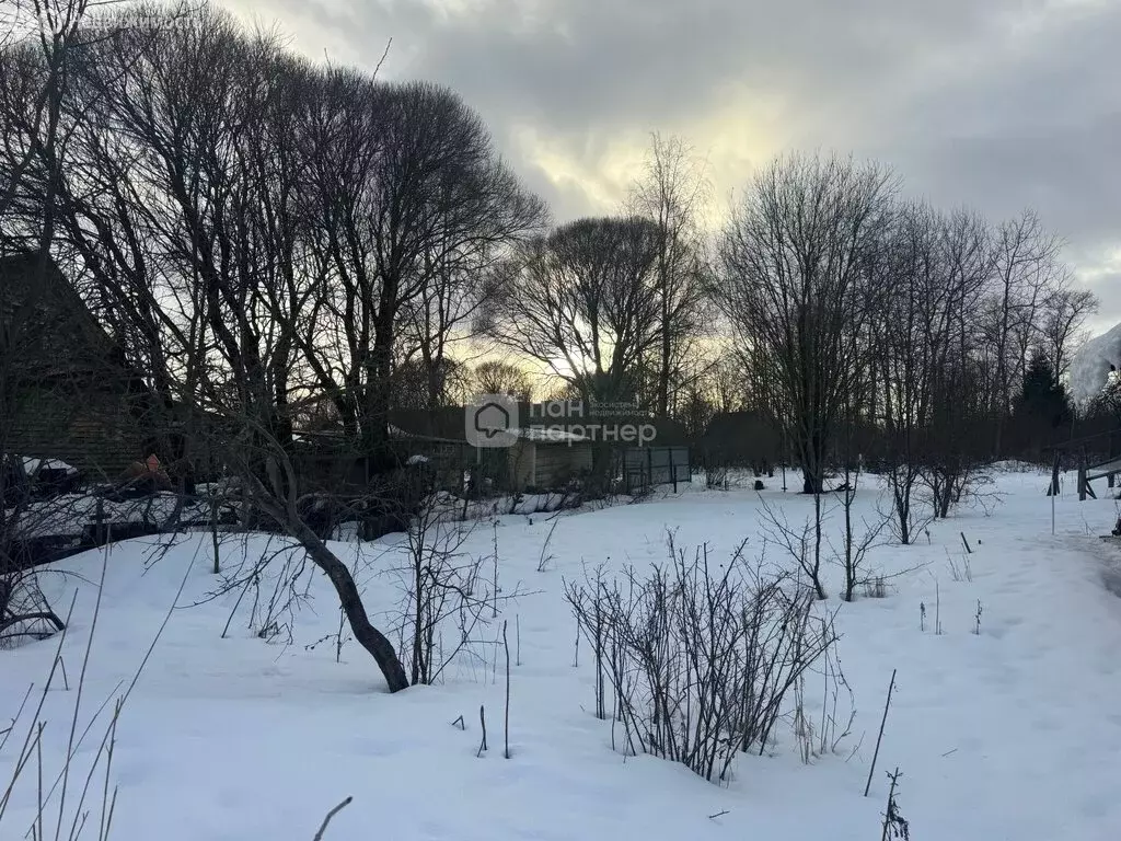 Участок в Красное Село, улица Голубко, 9 (9 м) - Фото 1