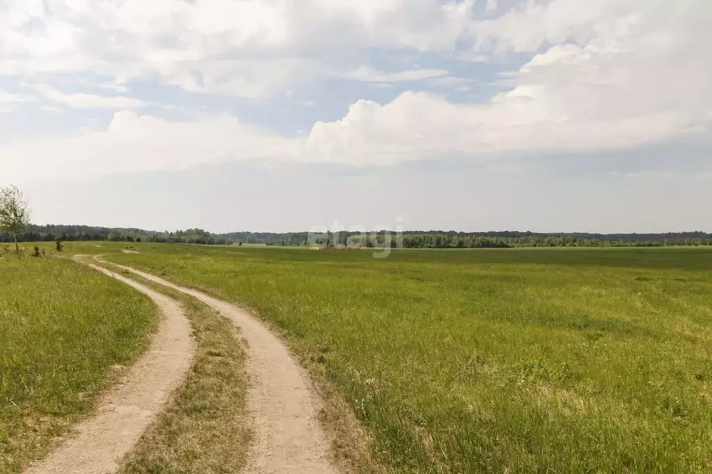 Участок в Тюменская область, Тюменский муниципальный округ, д. Речкина ... - Фото 1