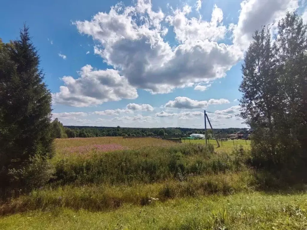 Участок в Вологодская область, Дикая ж/д_ст  (16.0 сот.) - Фото 2