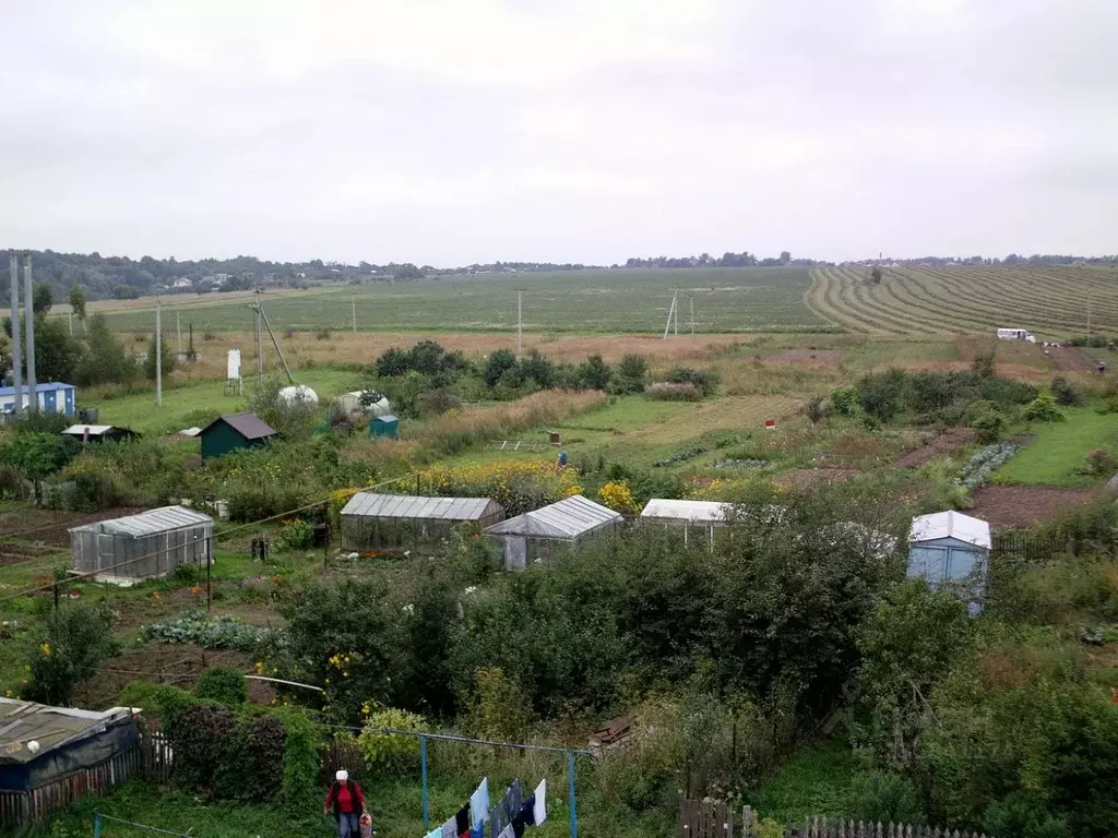 Комната Калужская область, Тарусский район, д. Строитель Речная ул., 1 - Фото 2