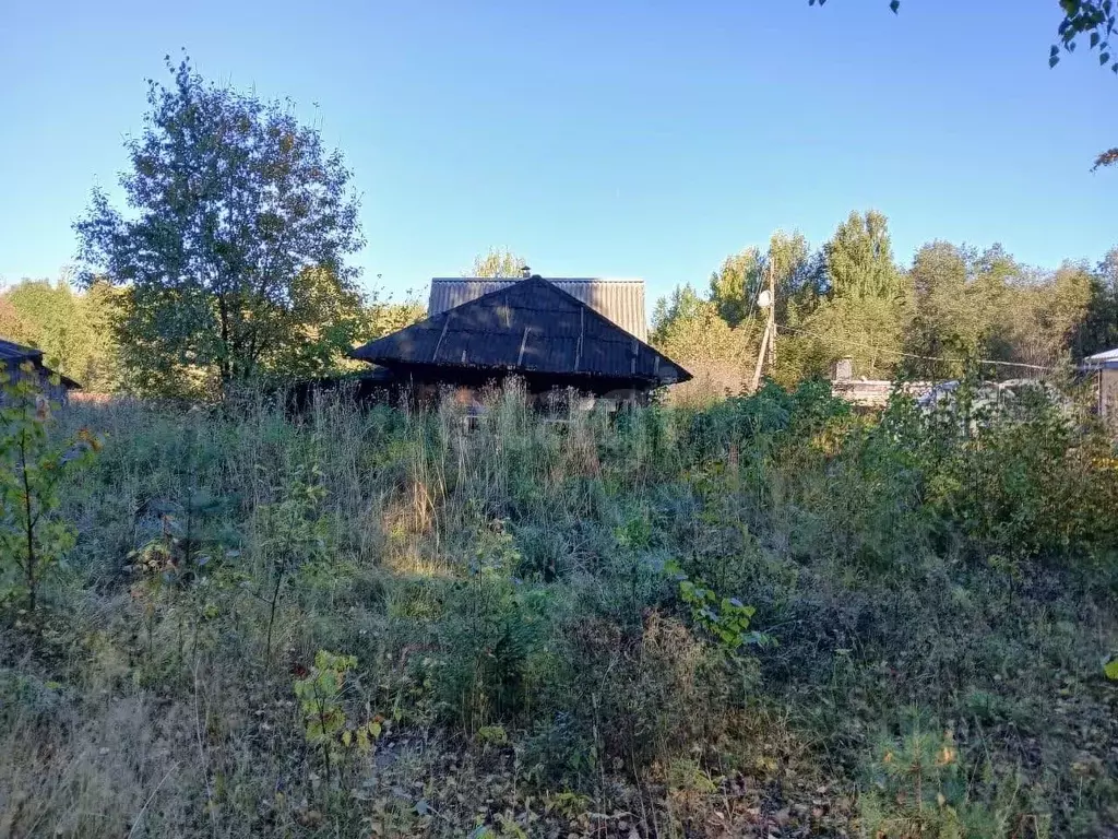 Участок в Кировская область, Котельнич Дачная ул., 1 (12.0 сот.) - Фото 1