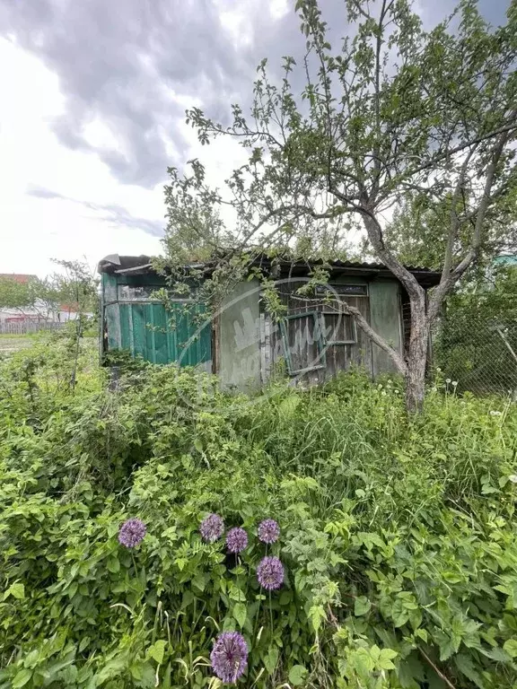 Дом в Калужская область, Ферзиковский район, Ястребовка с/пос, Мечта ... - Фото 2