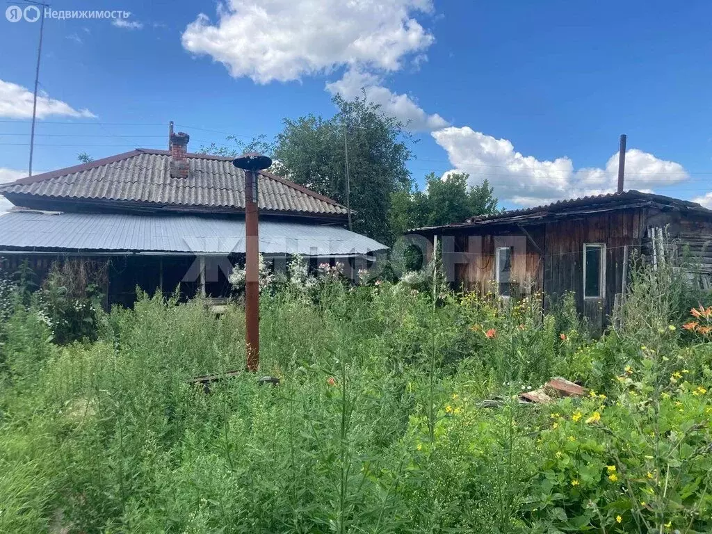 Дом в Новосибирская область, Коченёвский муниципальный район, деревня ... - Фото 1
