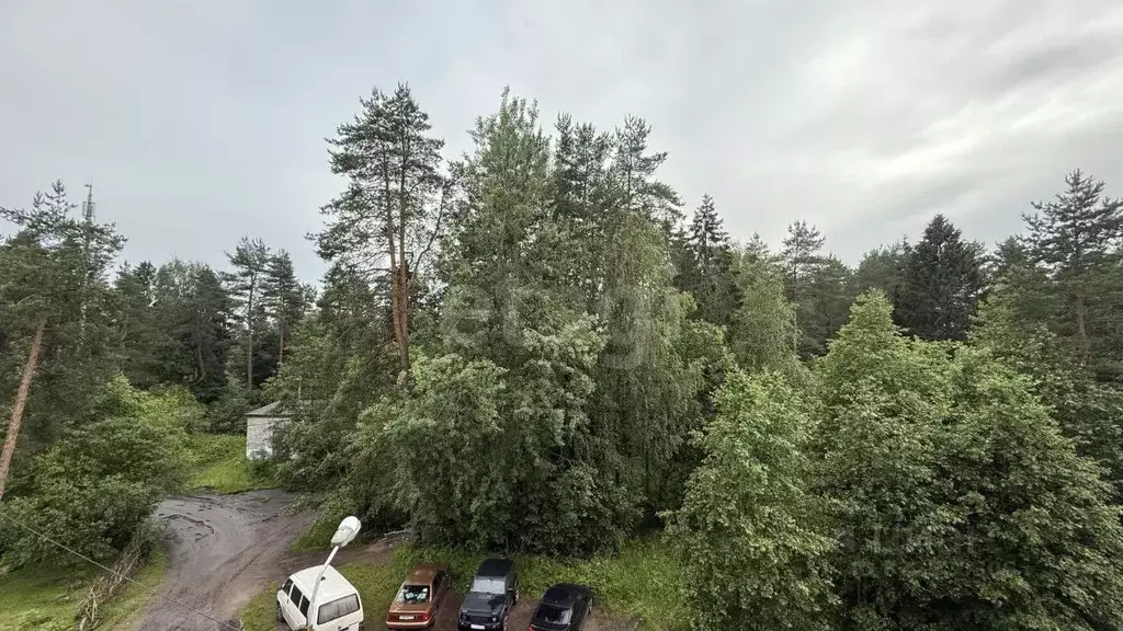 1-к кв. Ленинградская область, Сертолово Всеволожский район, Черная ... - Фото 1