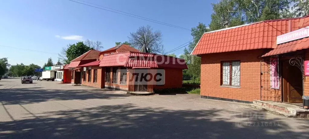 Торговая площадь в Воронежская область, с. Нижнедевицк ул. Чижова, 2И ... - Фото 2