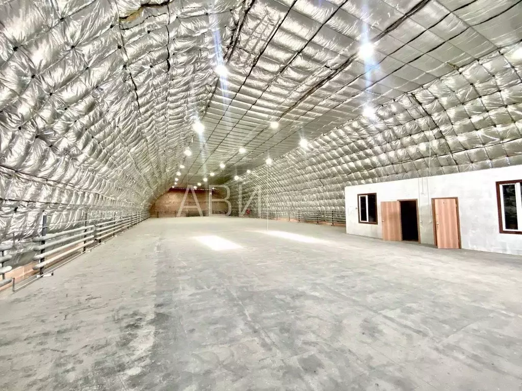 Склад в Новосибирская область, Новосибирск Выборная ул., 205/1 (1100 ... - Фото 1