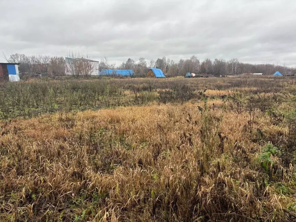 Участок в Татарстан, Лаишевский район, Нармонское с/пос, с. Карадули ... - Фото 1