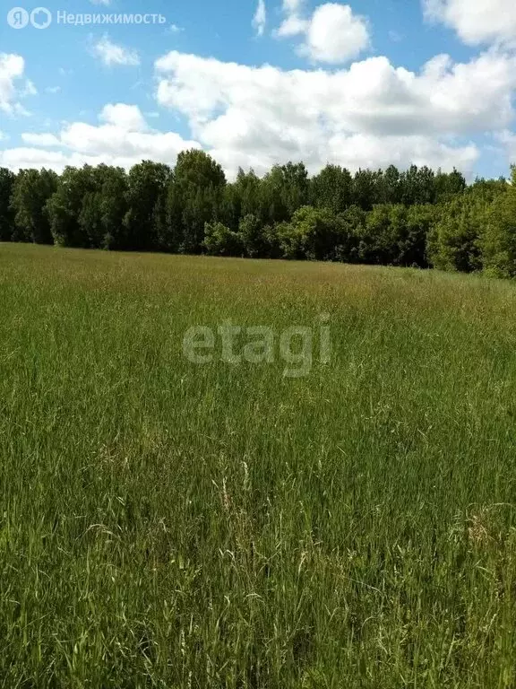 Участок в деревня Ольговка, Дорожная улица (254 м) - Фото 1