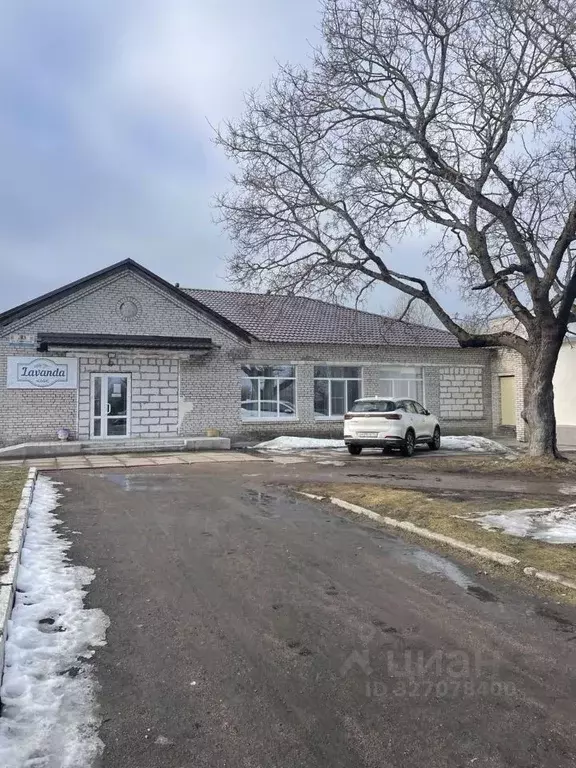 Помещение свободного назначения в Ленинградская область, Выборгский ... - Фото 1