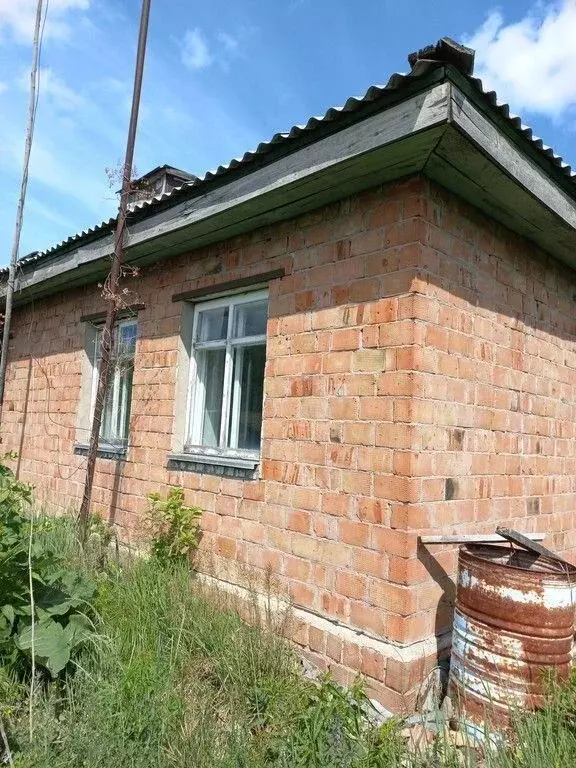 Дом в Омская область, Кормиловский район, д. Егорьевка  (70 м) - Фото 1