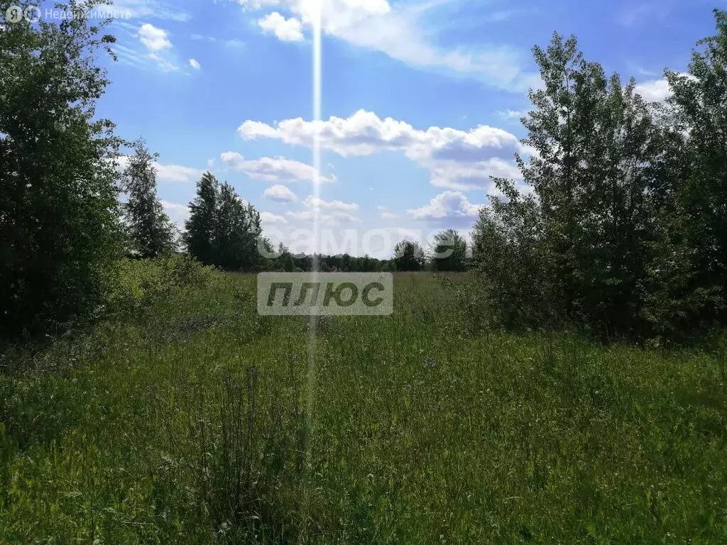 Дом в Рязанская область, Пронский муниципальный округ, деревня ... - Фото 2